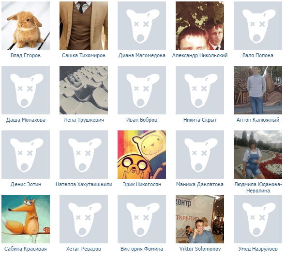 собачки в сообществе вконтакте