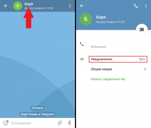 Отключить уведомления от пользователя в Телеграмм
