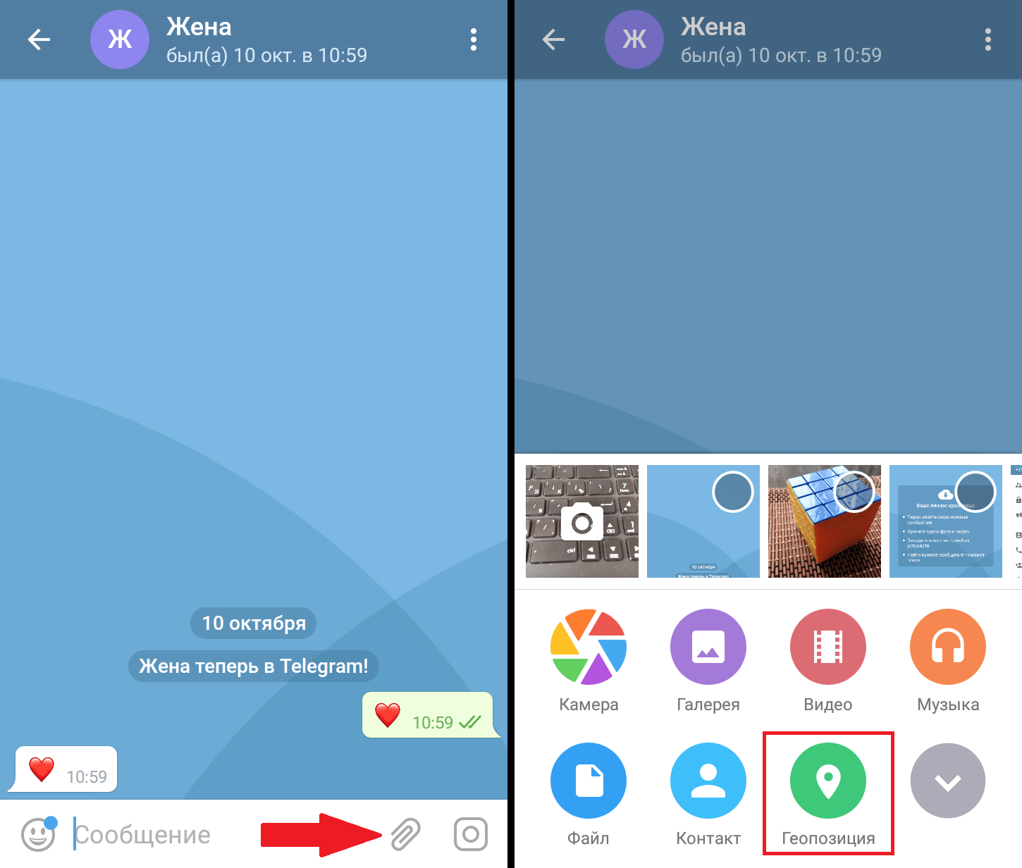Геолокация в Телеграмм: как отправить местоположение